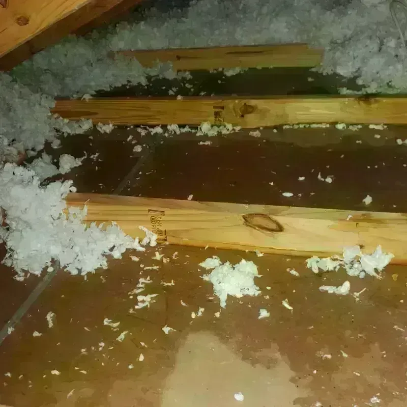 Attic Water Damage in Payson, UT