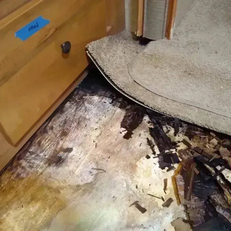 Wood Floor Water Damage in Payson, UT